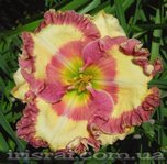 ��������  "AUNTIE�S LIPSTICK KISSES"