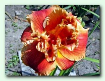 After the Fire (����� �� �����)