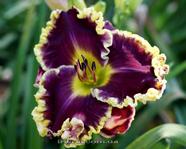 Bella Note (����� ����)