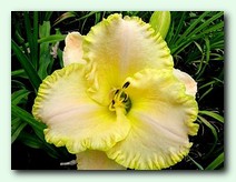 Blizzard Bay (������ ���)