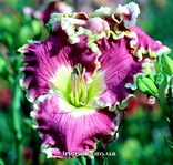 ��������  " CHESAPEAKE BAY"