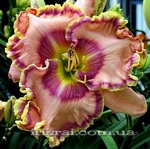 Carol Todd (����� ����)