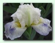 Denaly (������)