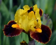 ���� EXCLAIM