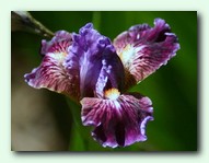 Folk Art (���� ��)