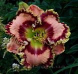 ��������  " Game Face"