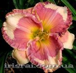 ��������  " GENEVA STRAWBERRY KISSES "