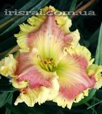 ��������  " Gary Colby "