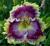 ��������  "Quoting Hemmingway"