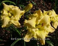 ��������  " JAUNITA TALBOTT"