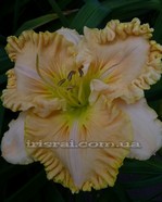 �������� KEYS TO THE KINGDOM 