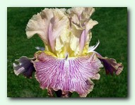 ���� Lightsaber