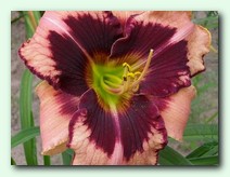 Mask of Eternity (����  ��  ��������)