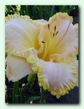 Moonlit Caress (������ ����)