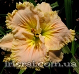 ��������  "POCKETS FULL OF SUNSHINE"