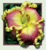 �������� RHONDA FLEMING