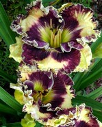 �������� ROCK MY WORLD 