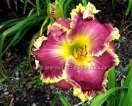 �������� SPACECOAST FANTASTIC FINISH