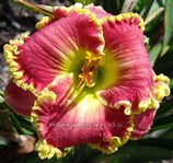 �������� STOP AND STARE