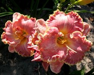 Shores of Time (���� �� ����)