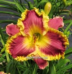 ��������  " Sunset Strip "