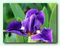 Trajectory (����������)