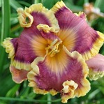 �������� UNFORGETTABLE GLOW