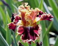 ����  Volcanic Glow