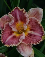 �������� WE'RE JAMMIN