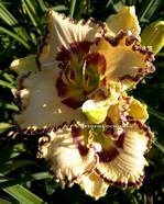 �������� Your Place or Mine